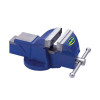 Vices & Anvils