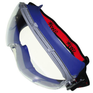 Ski Style Wide Vision Goggle